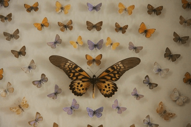 باغ موزه پروانه ها جاهای دیدنی اصفهان (100 جاذبه گردشگری اصفهان)